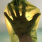 Smart Choice Biodegradable Pet Waste Bags