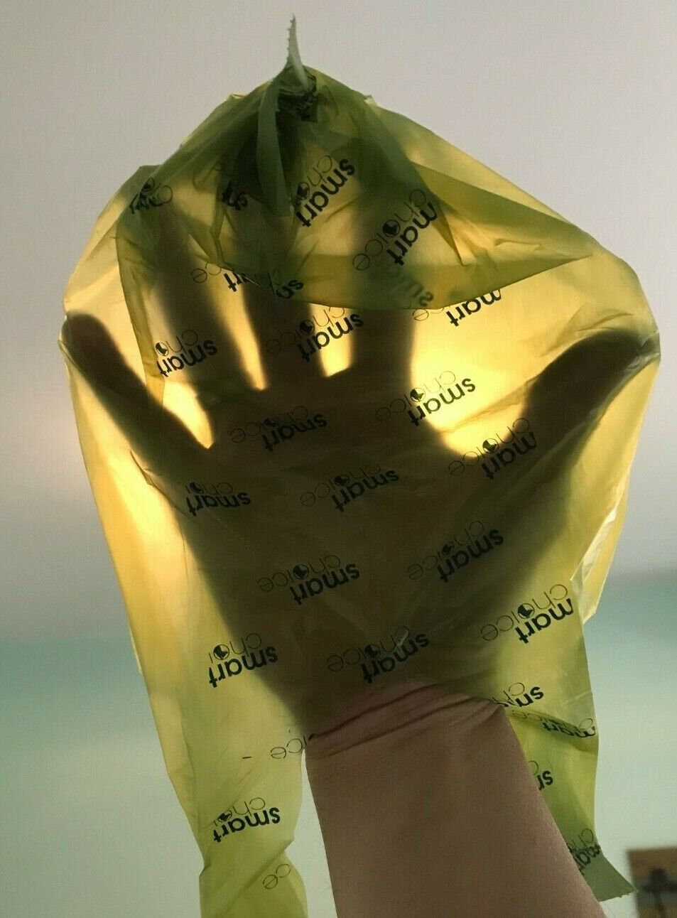 Smart Choice Biodegradable Pet Waste Bags