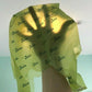 Large Biodegradable Pet Waste Poop Bags Safe Eco-Friendly Dog Puppy Smart Choice